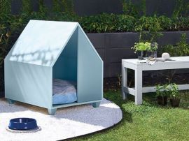 Dulux Paint Products
